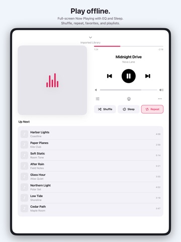 Importone Offline Music Import iPad screenshot 2