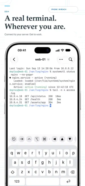 Termind screenshot 2