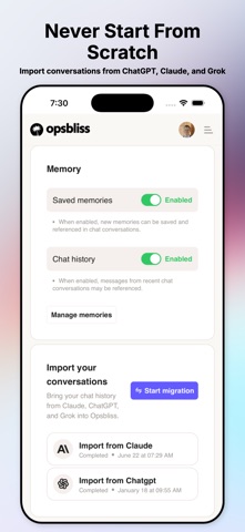 Opsbliss: AI Workspace Screenshot 10 of 10