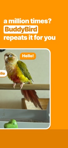 BuddyBird: Teach Your Parrot Screenshot 2 of 7