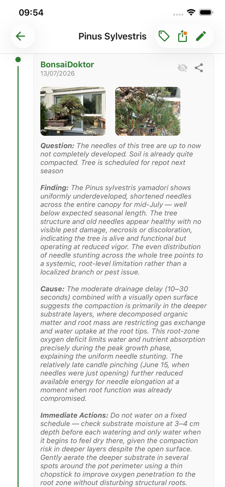 BonsaiDiary screenshot 3