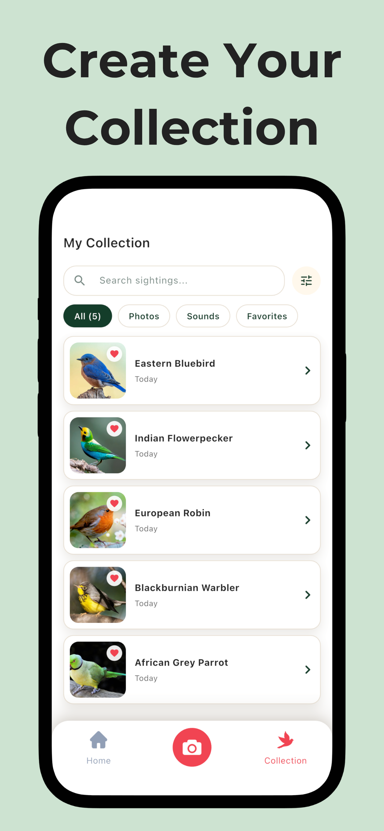 Bird Call Identifier: Featha