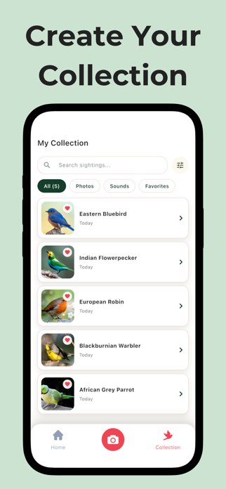 Bird Call Identifier: Featha Screenshot 4 of 4