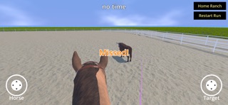 Rider Rodeo Screenshot 9 of 10