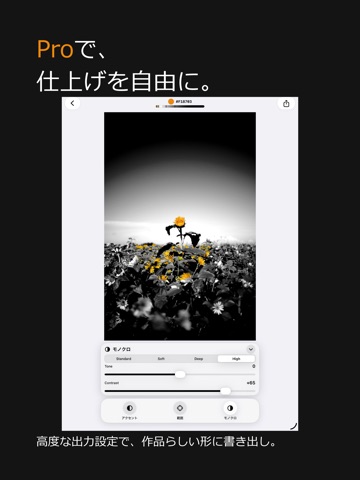 Accent - Selective Color iPad screenshot 5