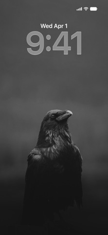 Black Wallpapers in 4K Screenshot 2 of 3
