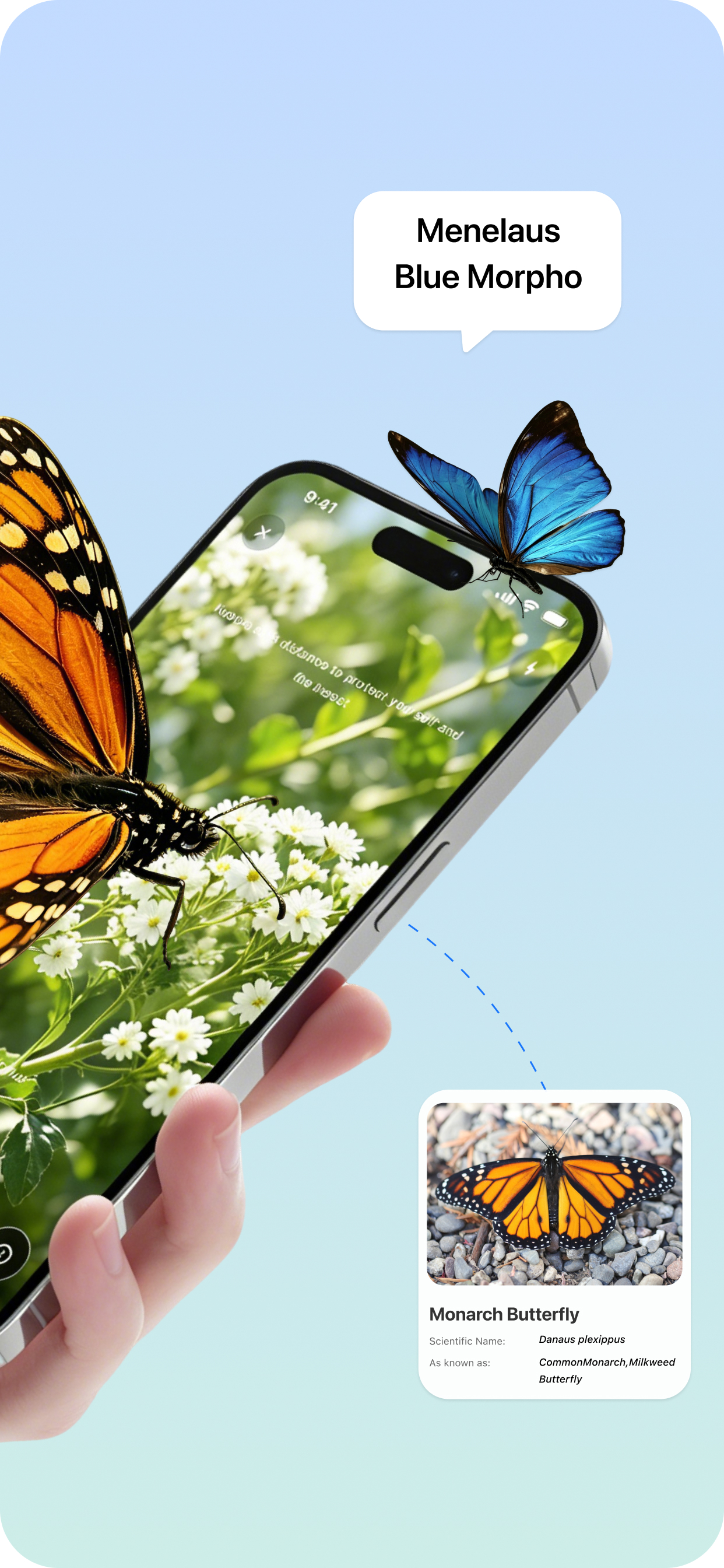 BugKnow: Bug Identifier screenshot 2