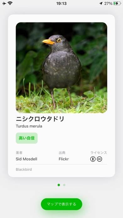 Ptashka: Bird Sonar紹介画像2