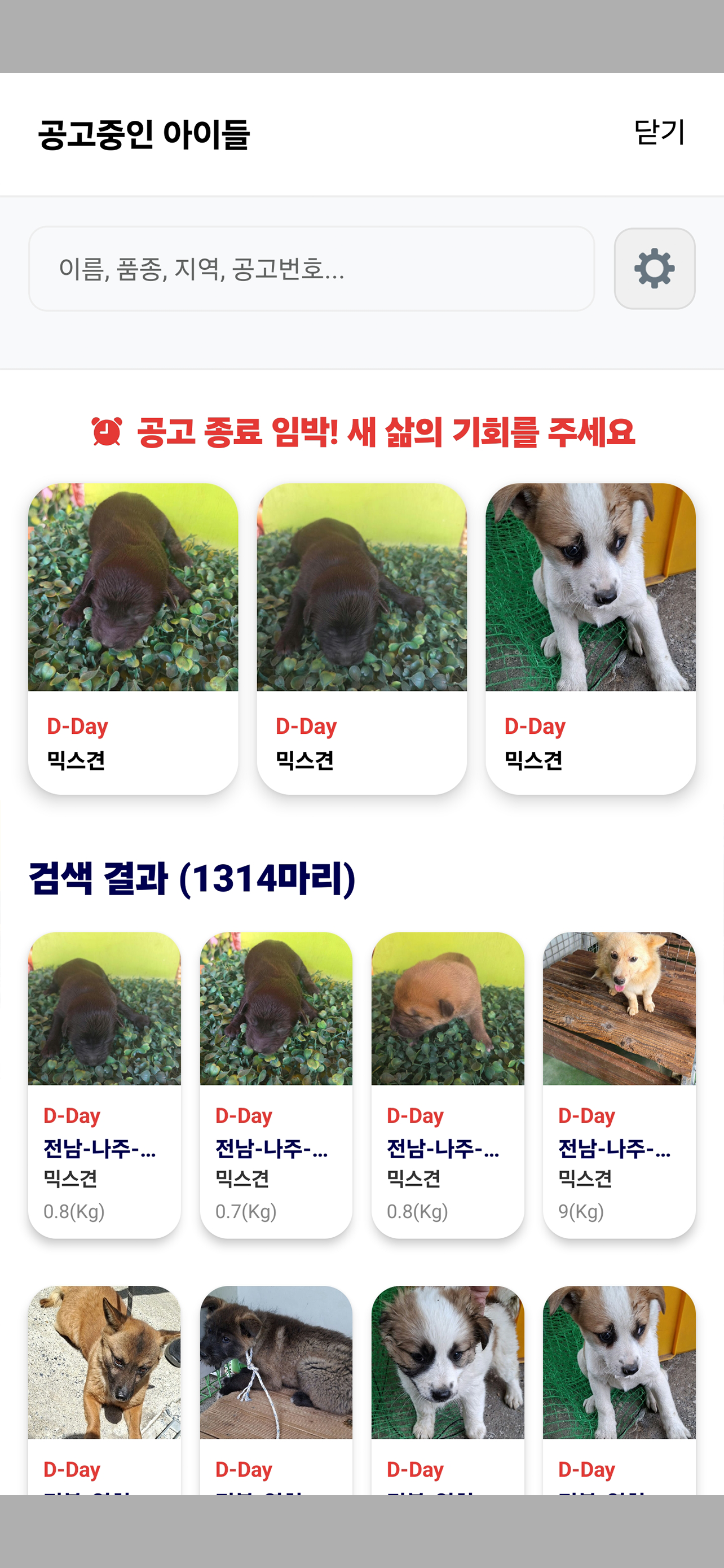 바른매칭