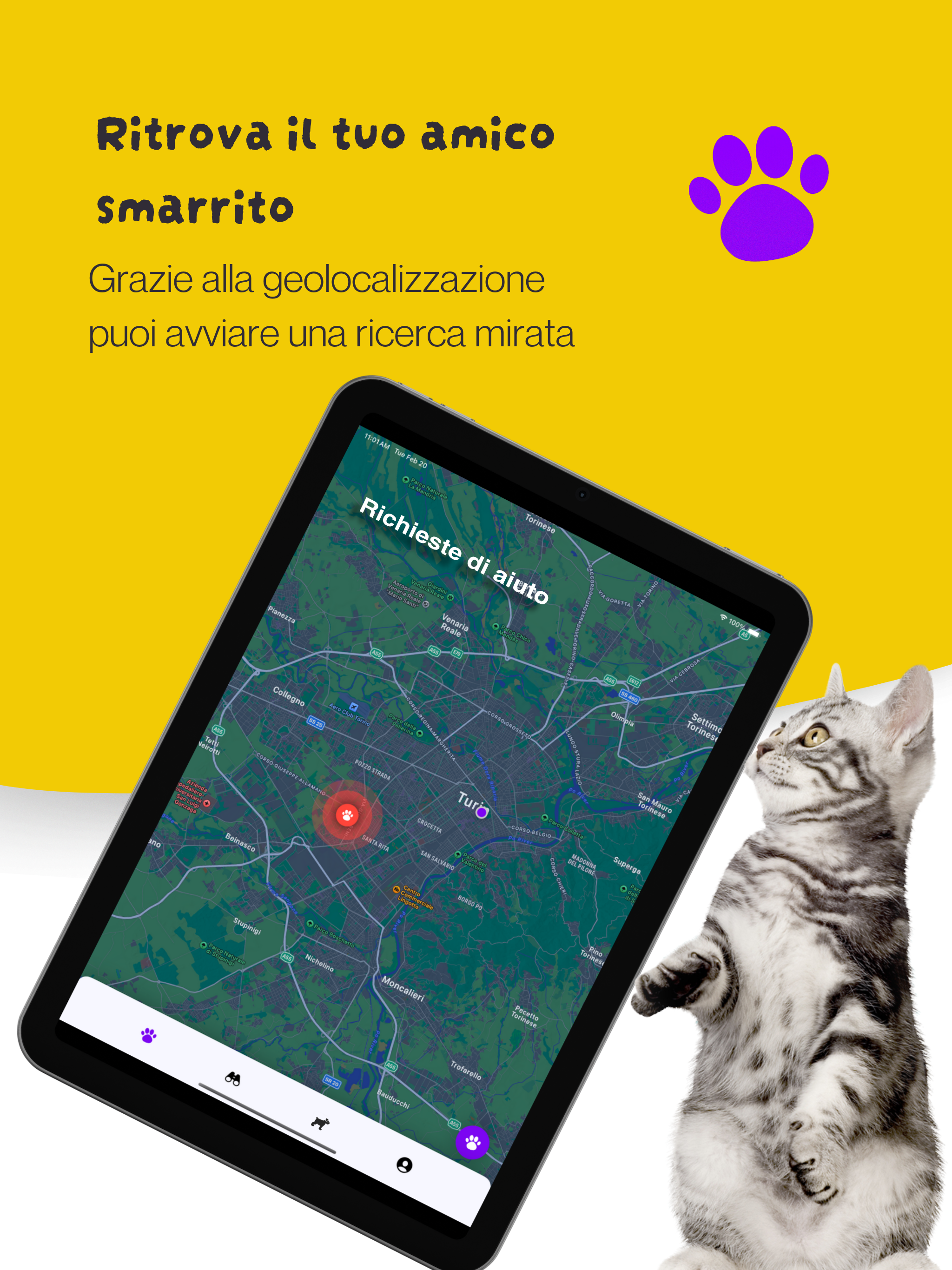 Pets - Animali smarriti