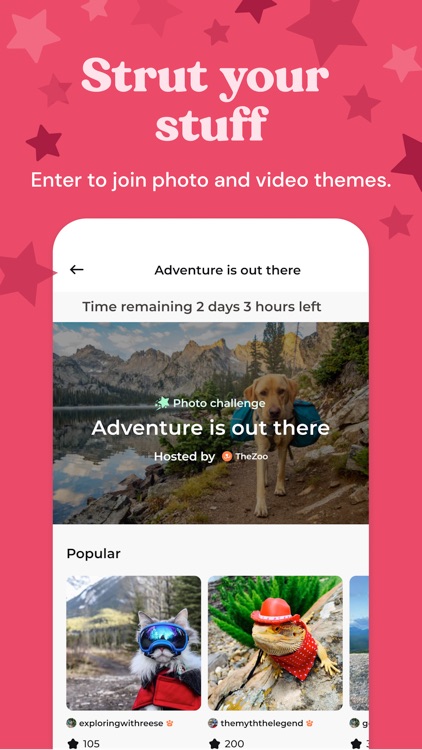 Zoo by Chewy - Pet Community screenshot-3