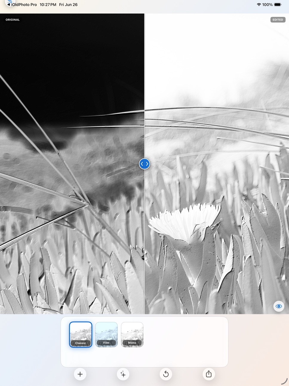iPad screenshot