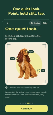 Dear Dog screenshot 2