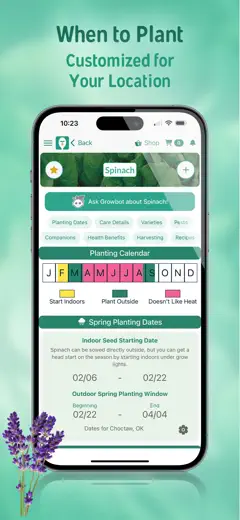 Seed to Spoon : capture d’écran 5 sur 9