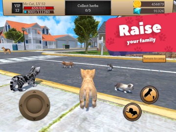Cat Simulator 3D - Animal Life iPad screenshot