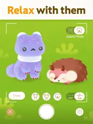 livly island - adopt cute pets ipad images 2
