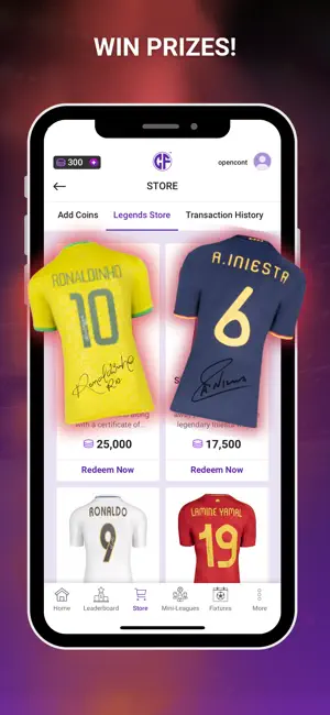 Copa Fantasy iPhone screenshot 3