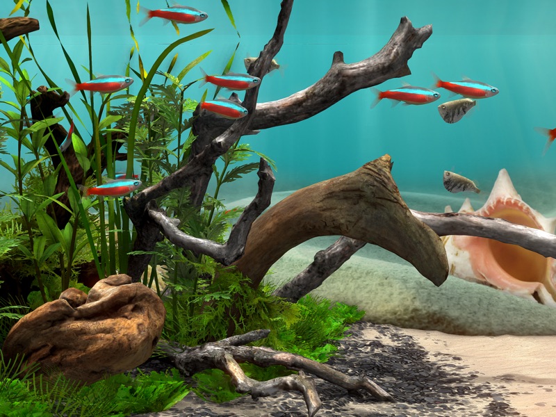 Fish Farm 4: 3D Aquarium screenshot 1