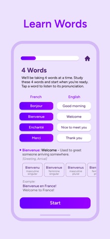 WordLingo French iPhone screenshot