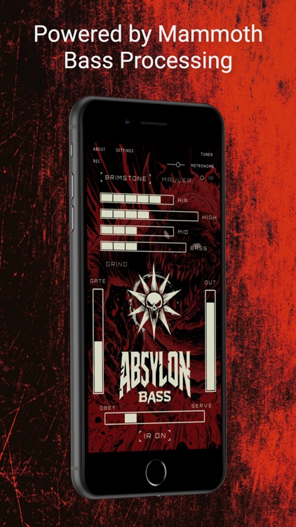 Absylon Bass - Amp Sim