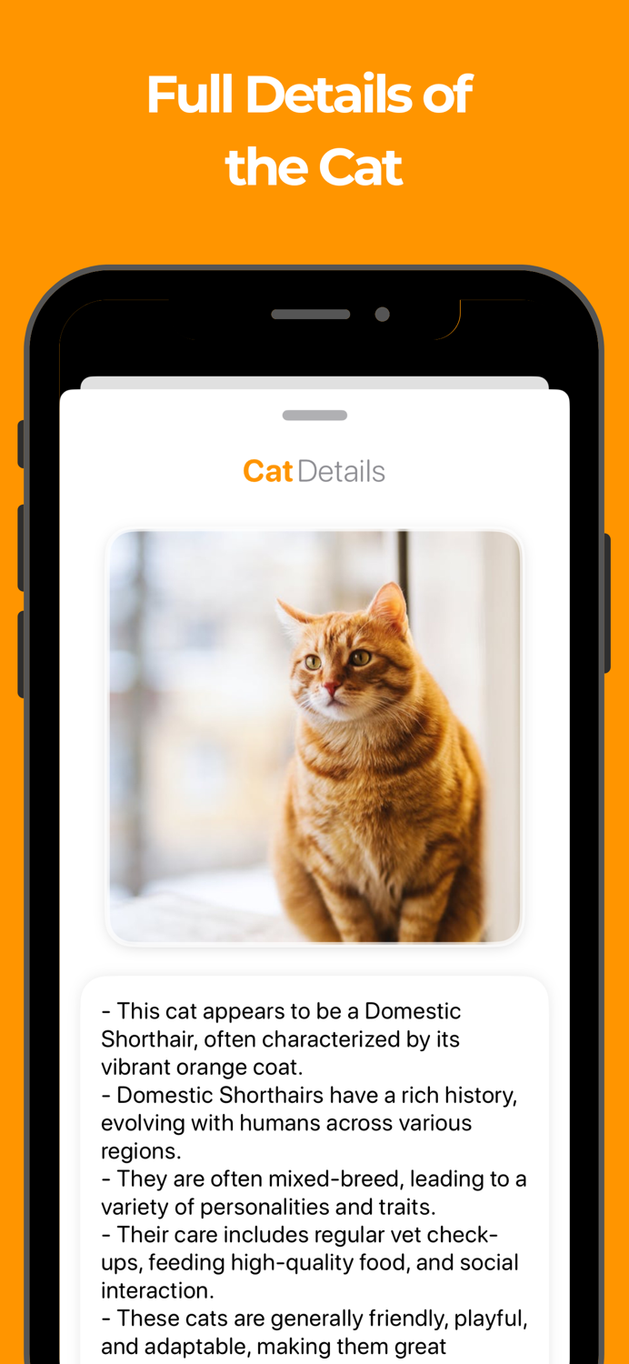 Cat Breed Identifier