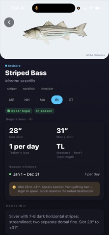 Spearo NE Screenshot 3 of 7
