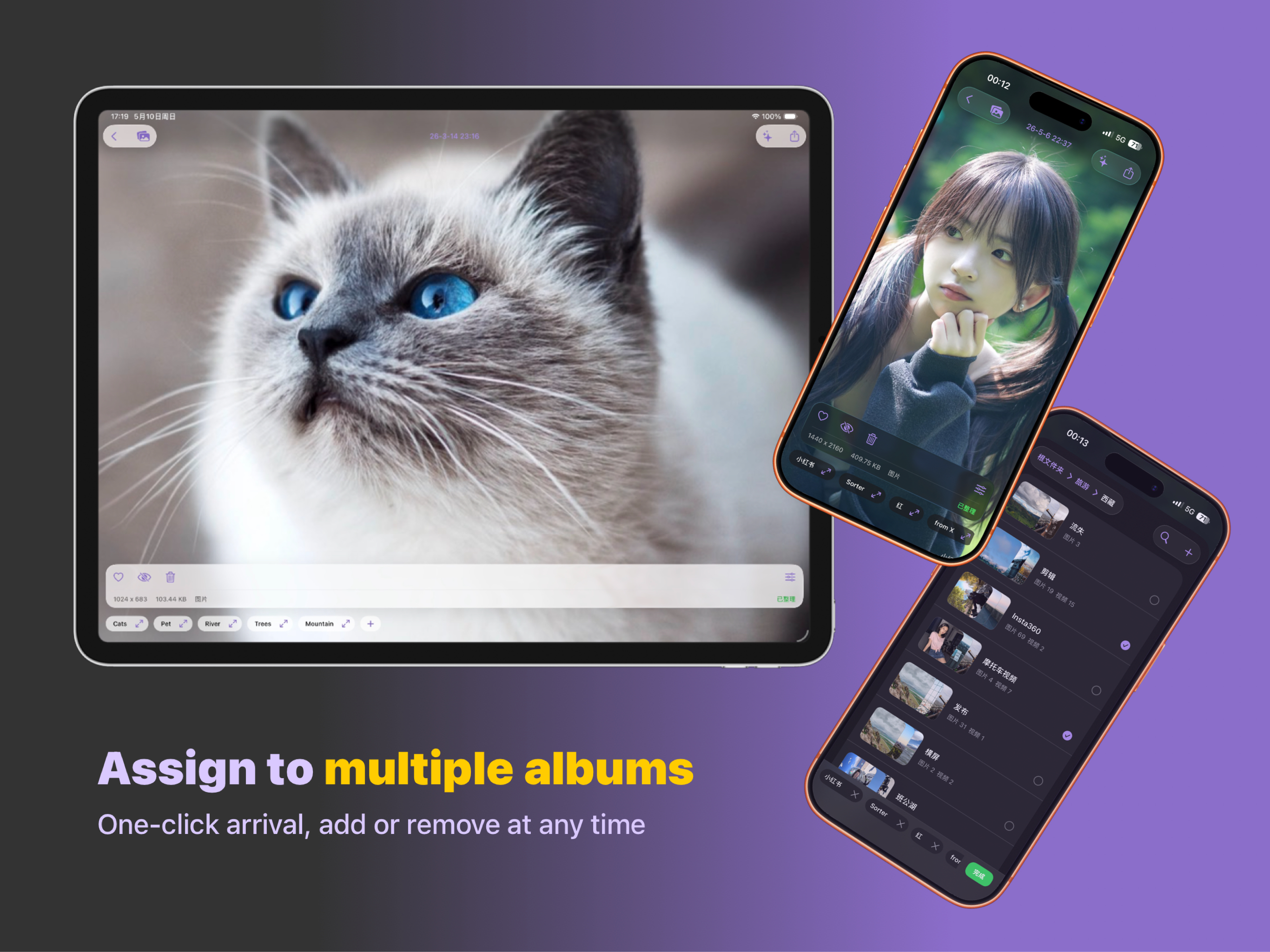 Sorter : Photo Organizer