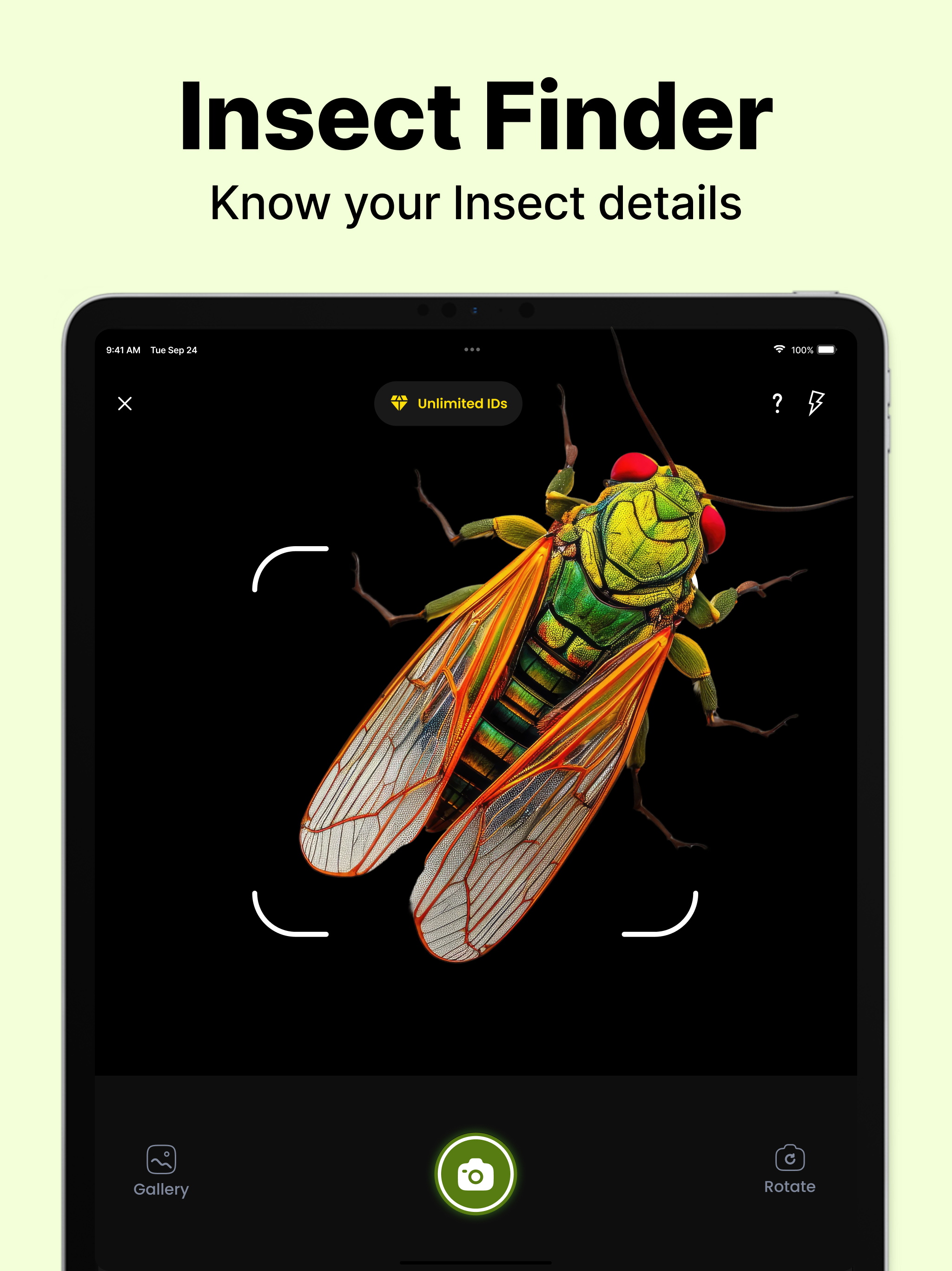 Insect Scanner: Bug Finder screenshot 7