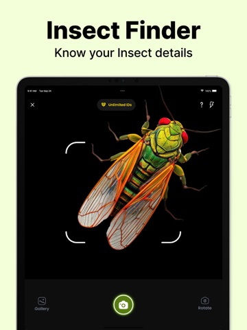 Bug Identifier: Pest Finder iPad screenshot