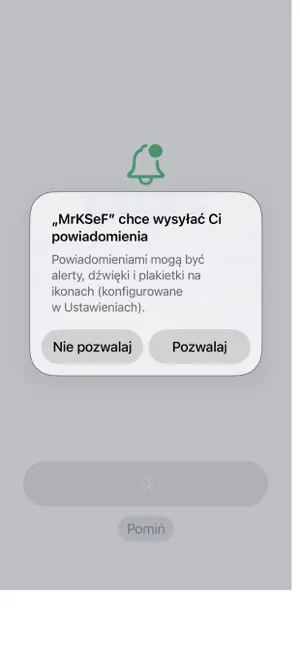 MrKSeF screenshot 2