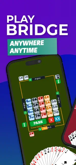 Fun Bridge screenshot 1