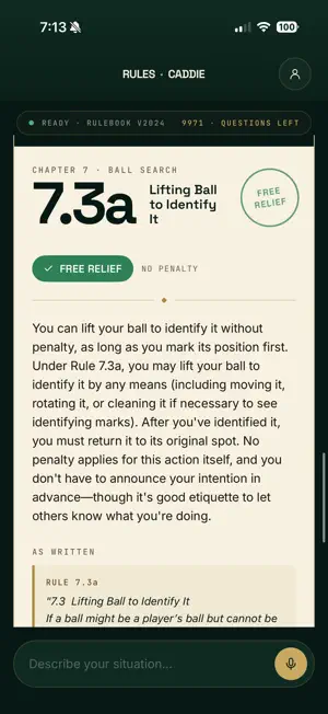 Rules Caddie screenshot 3
