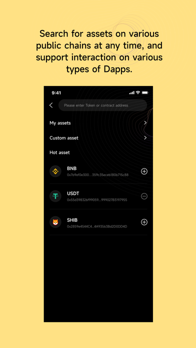 BSC Wallet: BNB chain Screenshot