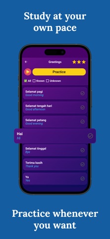Learn Malay (Beginners) Screenshot 3 of 7