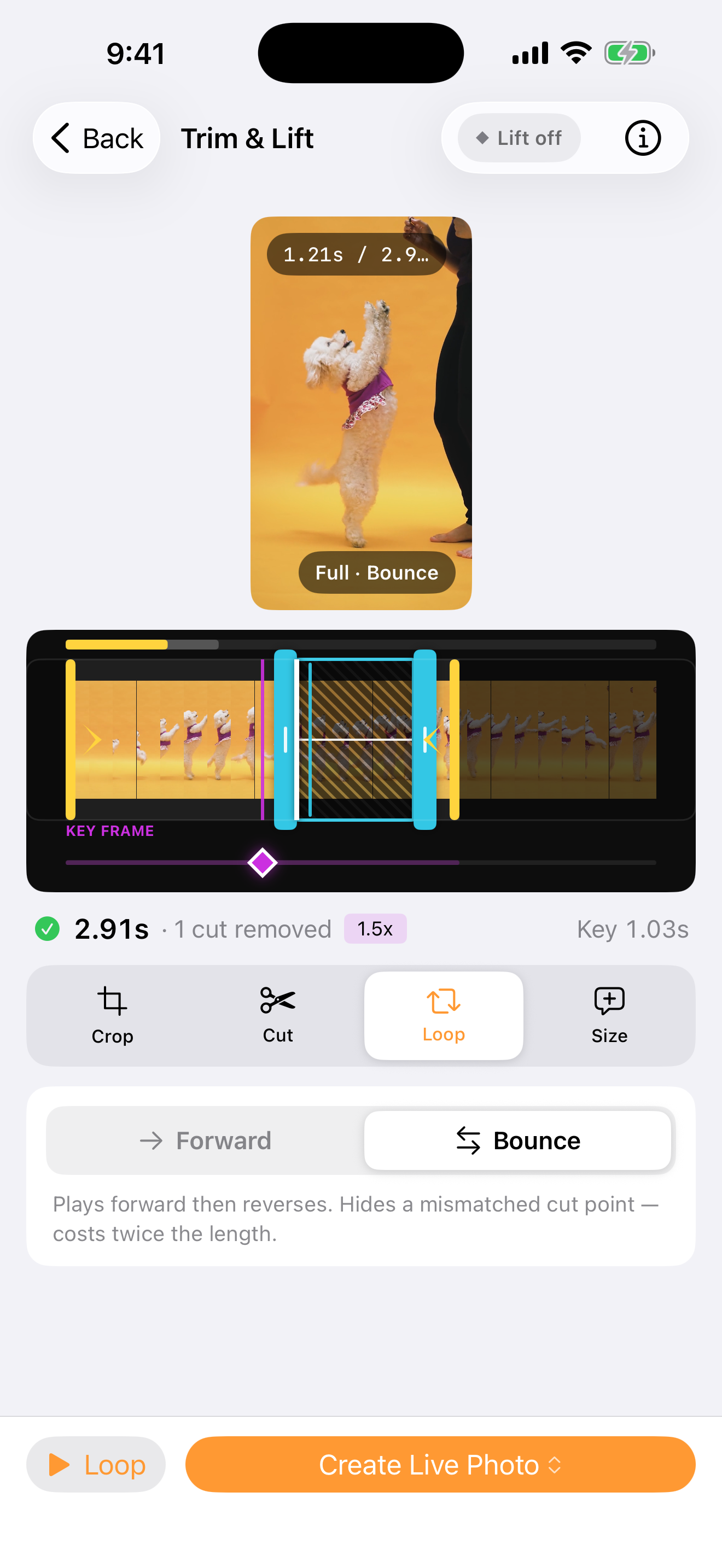 Peel – Video to Sticker Maker screenshot 7
