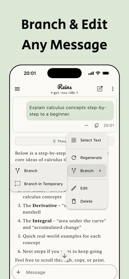 Screenshot 6 di 6 di Reins: for Ollama & LM Studio