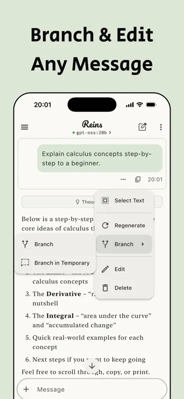 Reins: for Ollama & LM Studio screenshot 6 of 10