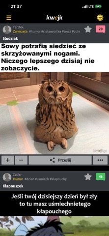 Kwejk.pl screenshot