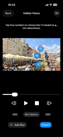 Bystander Video Blur screenshot