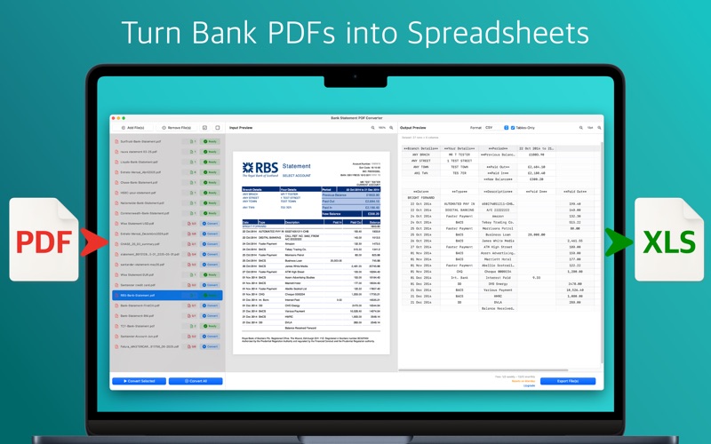 Bank Statement PDF Converter Screenshot