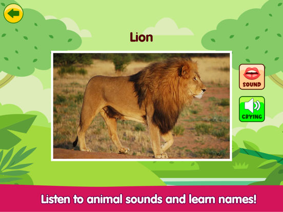 Screenshot #6 pour Learn Animal Sounds & Noises