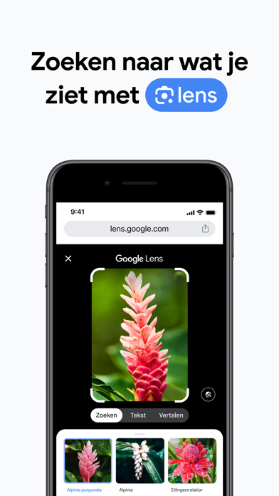 Google Chrome App Store preview screenshot 2