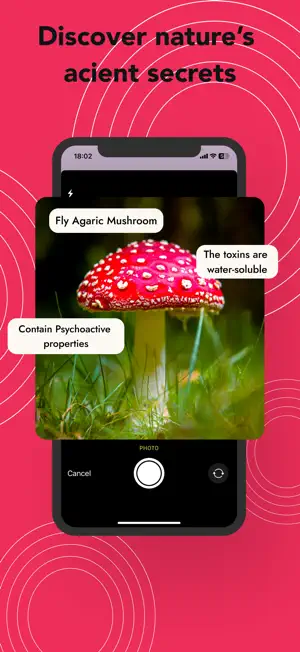 WildForager: Foraging ID Guide screenshot 3