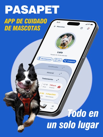 Pasapet iPad screenshot