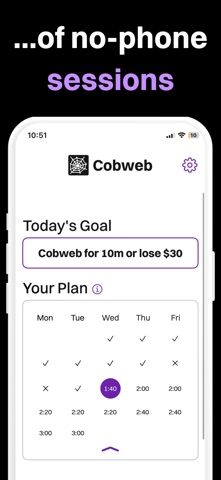 Cobweb: Hardcore Digital Detox screenshot