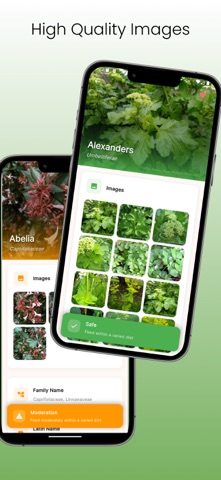 The Tortoise Table Plant DB iPhone screenshot