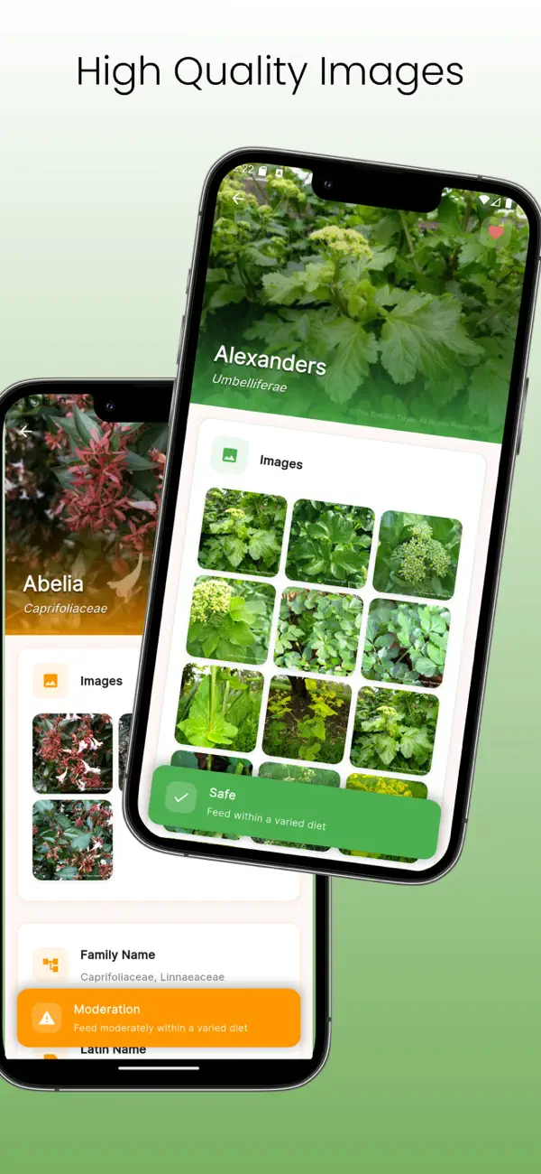 Screenshot #3 pour The Tortoise Table Plant DB