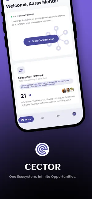 Cector screenshot 4