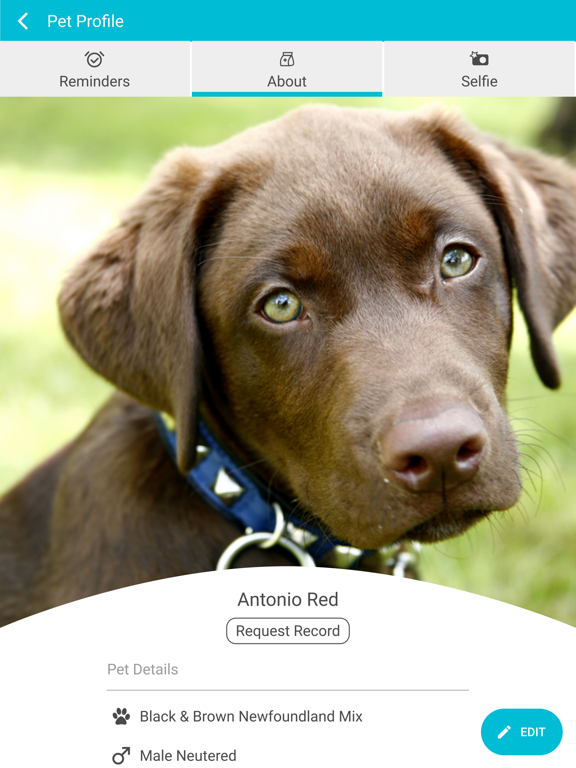 East West Vet Care iPad screenshot 3 - Business app