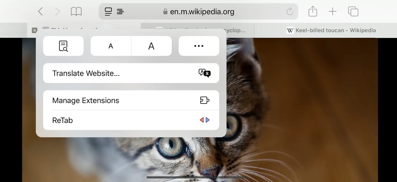 Screenshot #1 pour ReTab - Tab Switch for Safari